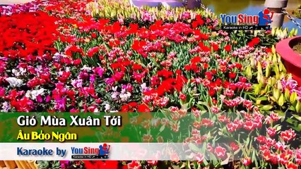 Gió Mùa Xuân Tới - Âu Bảo Ngân