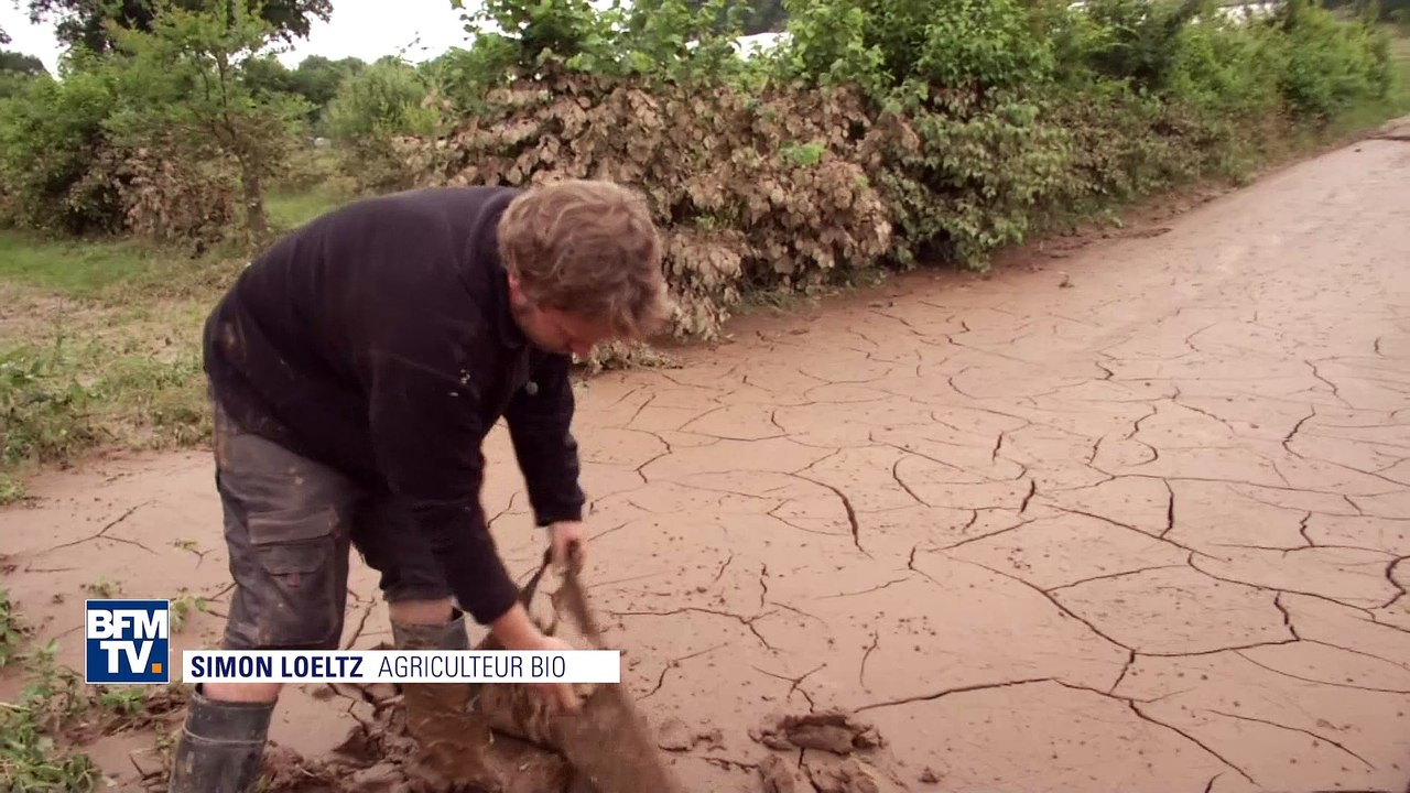 Intempéries: les agriculteurs en souffrance