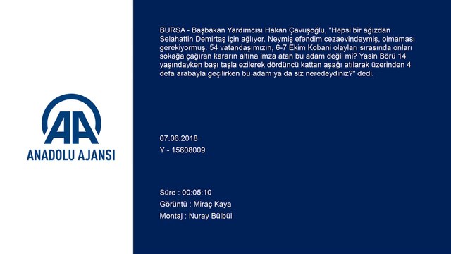 Başbakan Yardımcısı Çavuşoğlu: 'Hepsi bir ağızdan Selahattin Demirtaş için ağlıyor' - BURSA