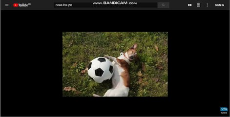 스포츠배팅LG701쩜C0M스포츠배팅→←스포츠배팅-스포츠배팅 (597)