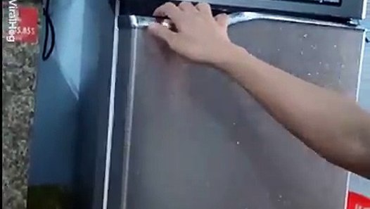 Just A Couple Of Polar Bears Cooling Down In The Fridge Viralhog