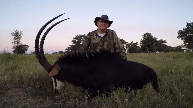 Plains game hunting | Zembe Safaris