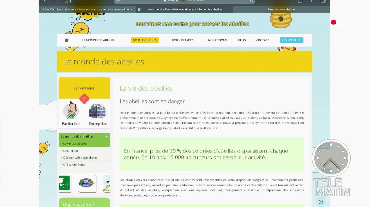 Sauvons les abeilles !