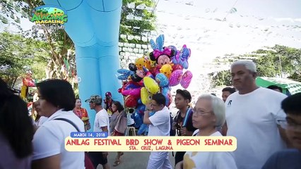 Alagang Magaling S9 Ep11 - Anilag Festival 2018
