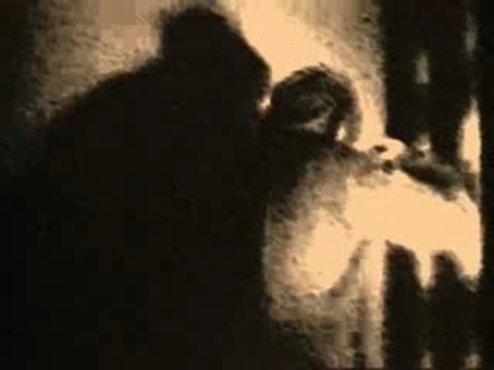 La Cellule