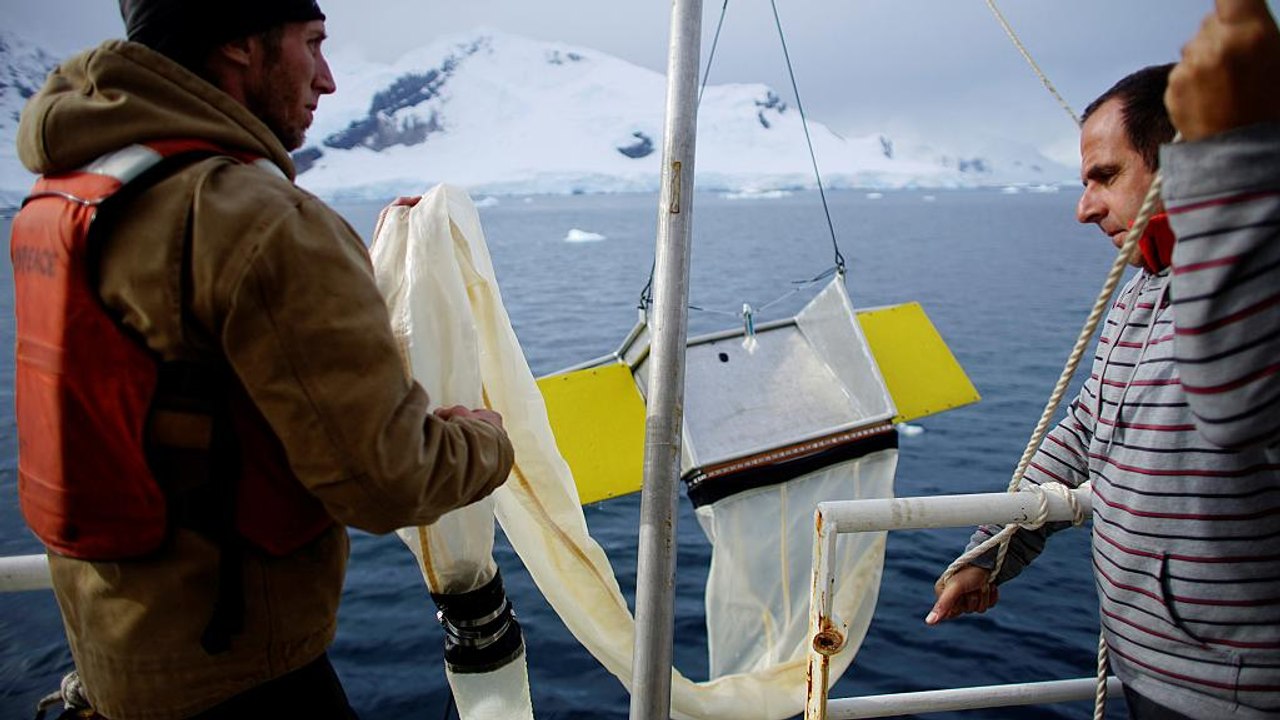 Inquinamento, l'allarme di Greenpeace: "plastic...
