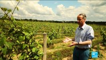 France''s Chambord Chateau fights to for the copywright on its own name.