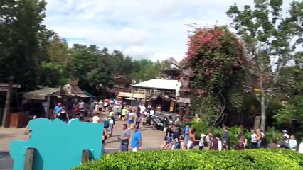 VLOG USA • ANIMAL KINGDOM MEILLEUR PARC DISNEY - Studio Bubble Tea