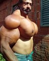 Valdir Segato et ses muscles au synthol