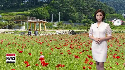 Heat wave advisory continues _ 060718