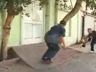 NIKE SB Nothing But the Truth