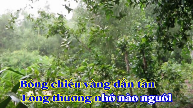 [Karaoke] MƯA RỪNG - Huỳnh Anh (Giọng Nữ: F#m)