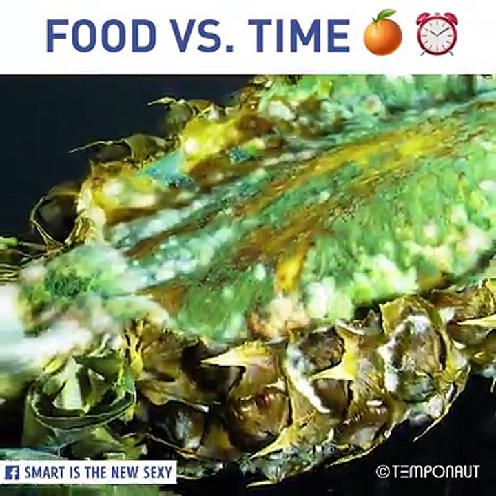 The cucumber left me stunned. o.O via TEMPONAUT Timelapse,