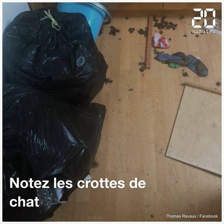 Il se venge de ses locataires en déversant leurs ordures devant leur nouvelle maison