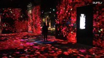 Massive immersive digital art installation melts and warps boundaries