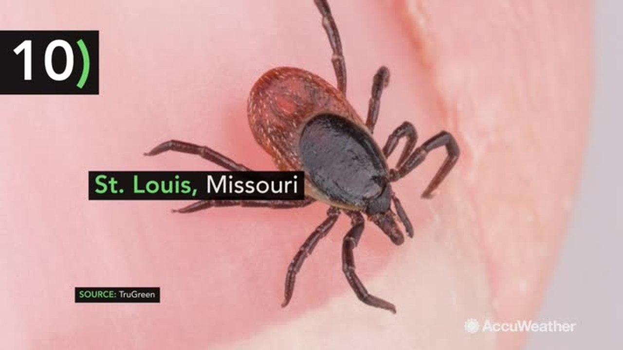 Top 10 US tick cities