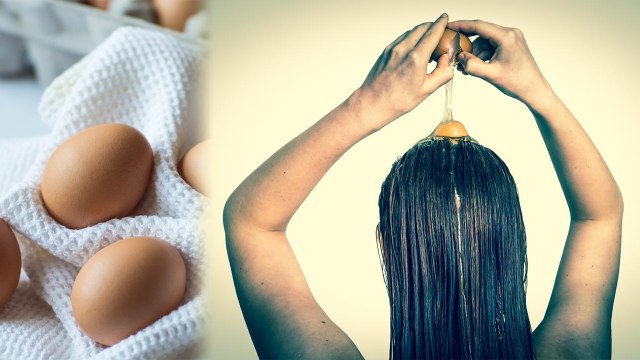 Eggs: How Beneficial for hair | बालों की हर समस्या का निदान है अंडा | Boldsky