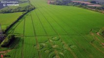 Mysterious travellers visited the English countryside and left behind the biggest crop circle of the year