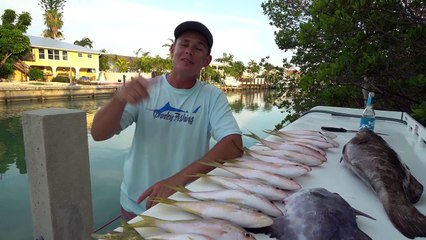 Tải video: EASIEST Fish to Catch in Florida Keys! Catch Clean Cook- Yellowtail Snapper