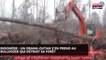 Indonésie : Un orang-outan s'en prend au bulldozer qui détruit sa forêt (Vidéo)