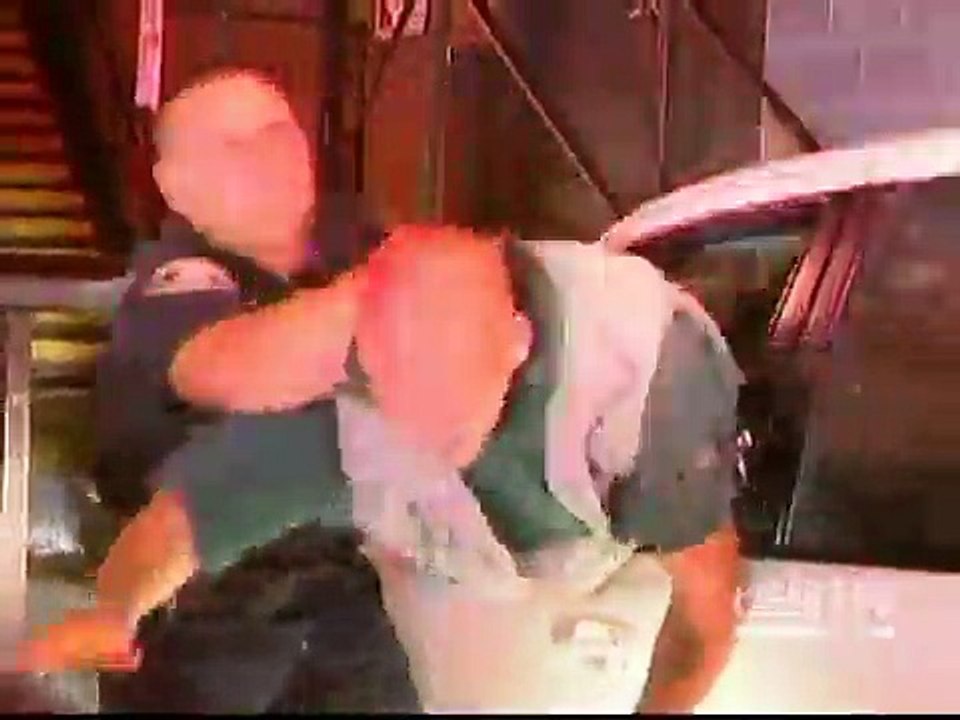 Cops S17E25