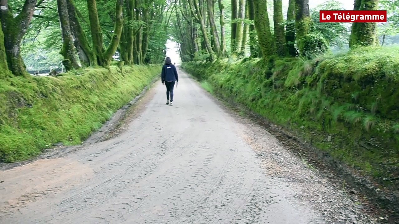 Hanvec (29). Ménez-Meur : le domaine animalier...