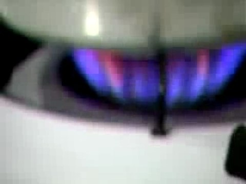 Mazaradi Fox - Transporter