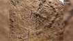 These May Be The Oldest Footprints Ever Discovered On Earth