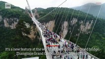 Bungee off the world's highest glass bridge