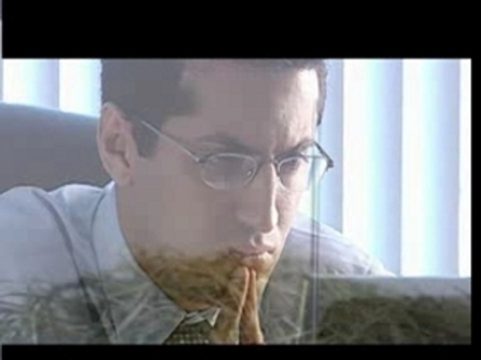 Attention Age Doctrine Rich Schefren Internet Marketing