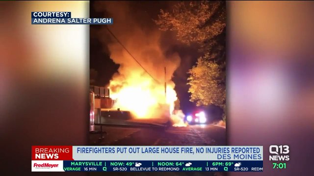 Firefighters Rescue 20 Cats from Fast-Moving House Fire in Washington State