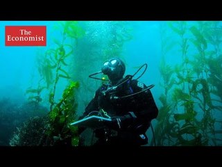 Can technology save the rarest creatures on the planet? | The Economist