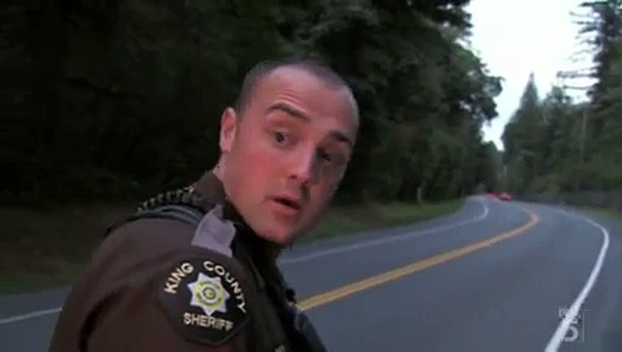 Cops S22E26