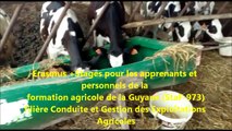 Stages pour les apprenants et personnels de la formation agricole de la Guyane version courte