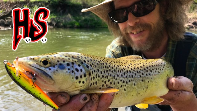 Hook Shots: Operation Iowa Brown Trout