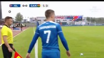 Kari Arnason  Goal HD - Iceland 1 - 0	 Ghana 07.06