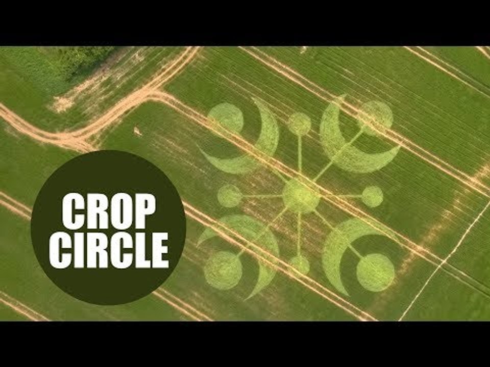 Mysterious travellers visited the English countryside and left behind the biggest crop circle