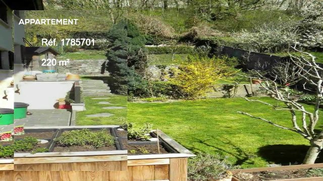 A vendre - Appartement - Bex (1880) - 6 pièces - 220m²