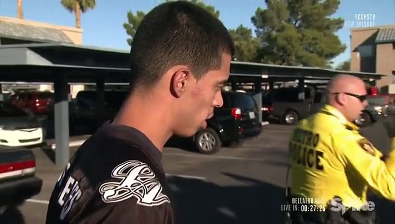 Cops S29E26