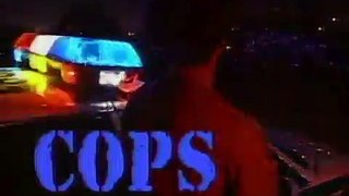 Cops S9E13