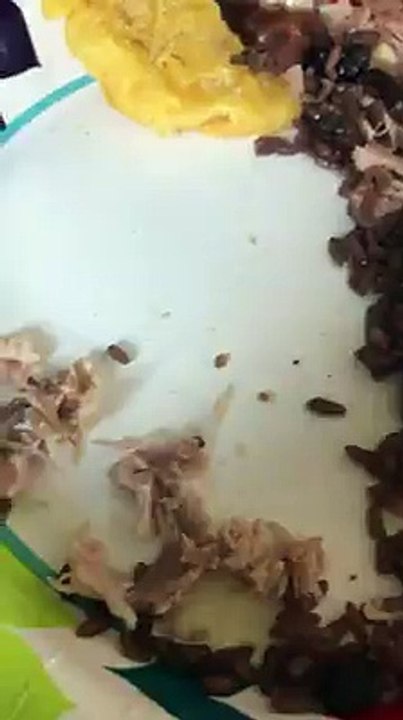 gusanos en el lechon