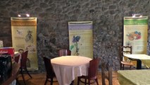 D!CI TV : une exposition sur les plantes de montagne à Eygliers