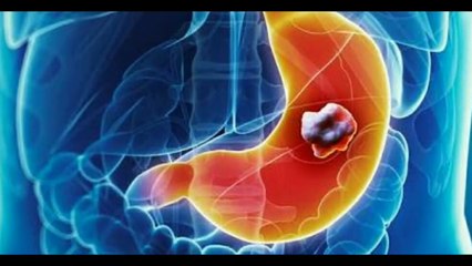 அமெரிக்காவை அலறவிட்ட கொல்லிமலை சித்தர் ! பலரும் அறியாத திடுக்கிடும் ரகசியம் !