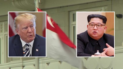 美 "북미 수교도 가능"...전제는 '완전 비핵화' / YTN