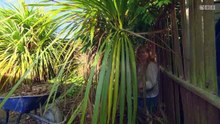 Garden.Rescue.S03E08.Bourne
