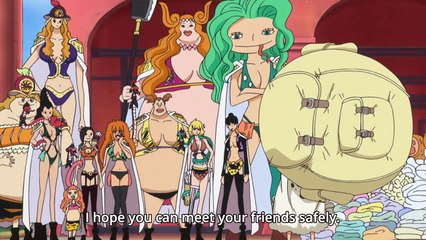 Download video one piece episode 518 sub indo