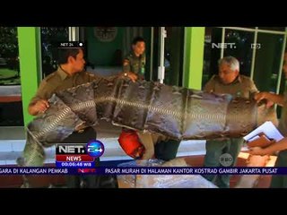 2 Paket Mencurigakan, Ternyata Isinya Kulit Satwa - NET24