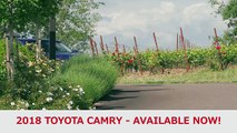 Toyota Camry Waukegan IL | 2018 Toyota Camry Waukegan IL