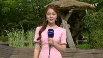 [날씨] 주말 낮 더위 계속...밤부터 더위 식히는 비 / YTN