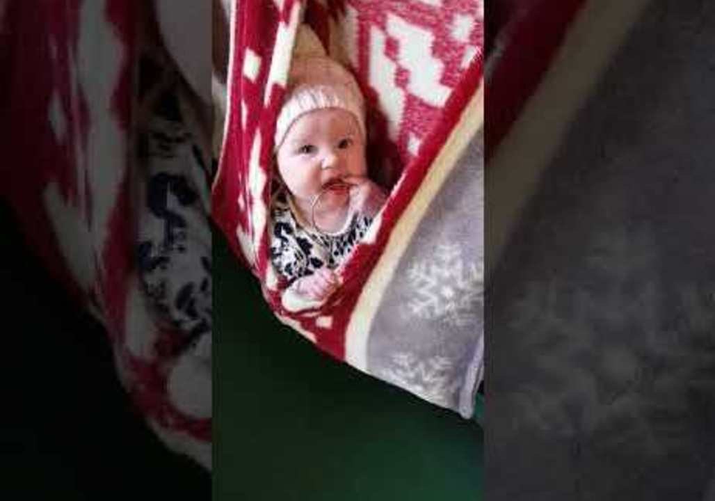 Baby Hangs Out in Pouch of Her Own Beside Kangaroo Joeys